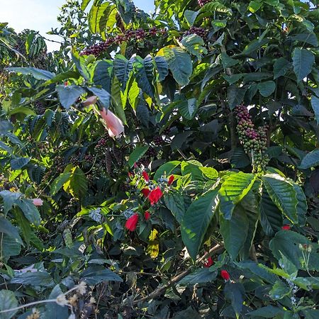 Apartamento Ivy Coffee Farm - Garden House Duc Trong Exterior foto