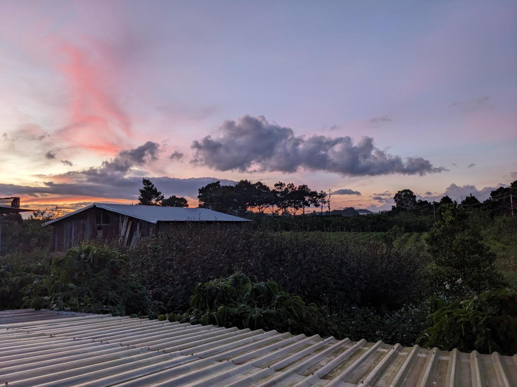 Apartamento Ivy Coffee Farm - Garden House Duc Trong Habitación foto