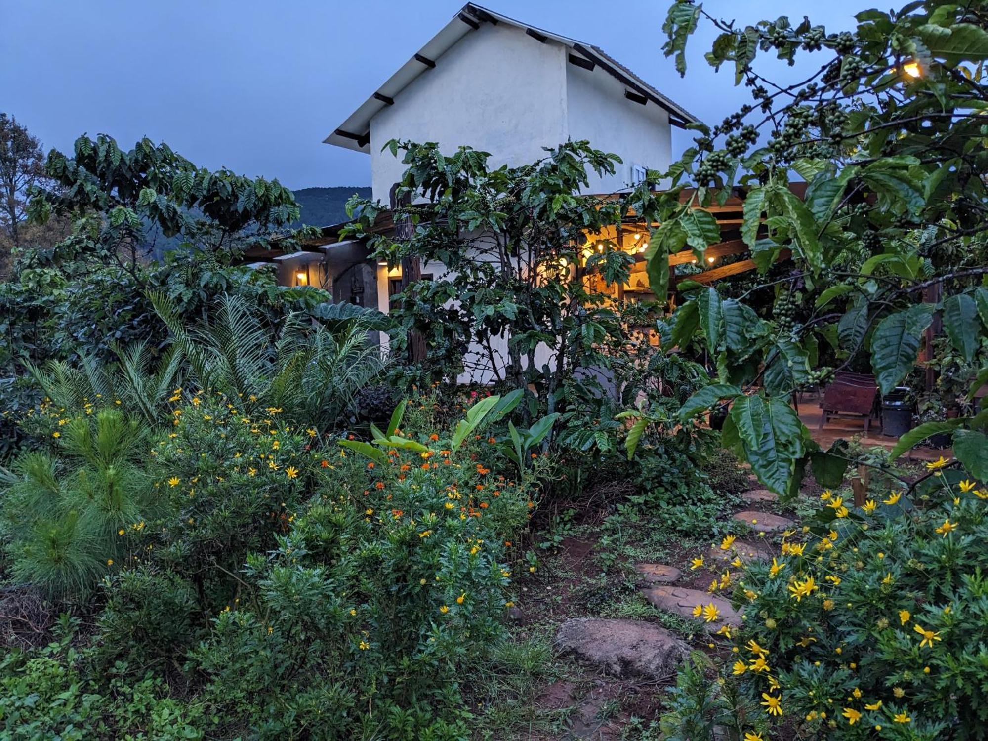 Apartamento Ivy Coffee Farm - Garden House Duc Trong Exterior foto