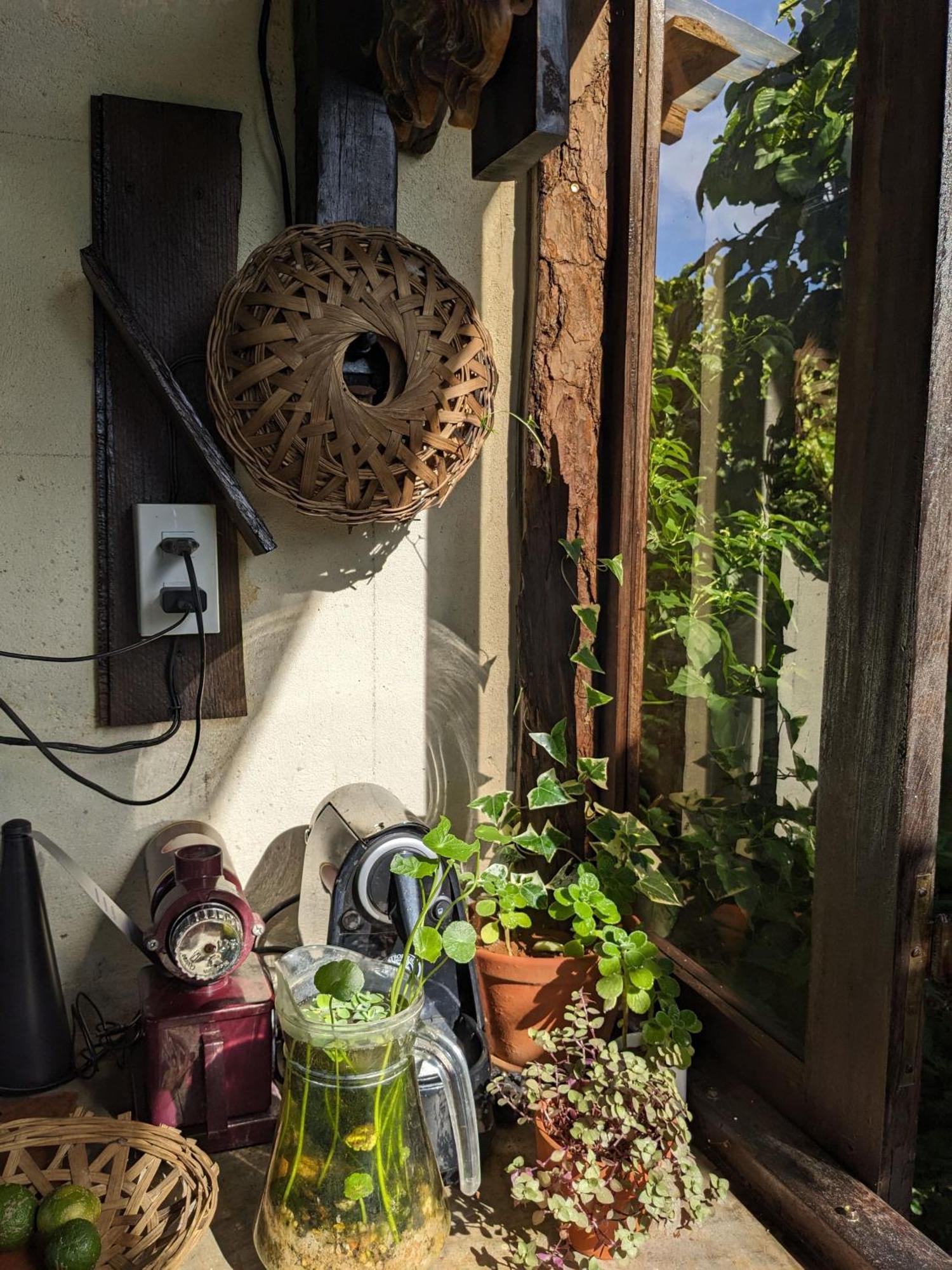 Apartamento Ivy Coffee Farm - Garden House Duc Trong Exterior foto