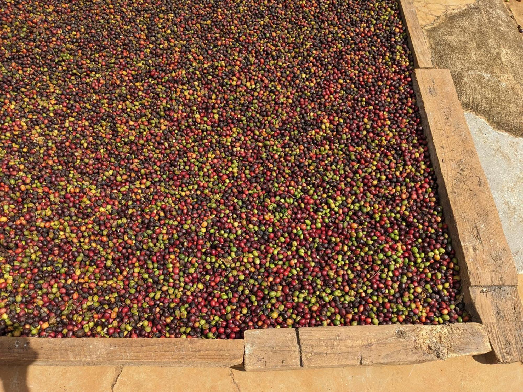 Apartamento Ivy Coffee Farm - Garden House Duc Trong Exterior foto