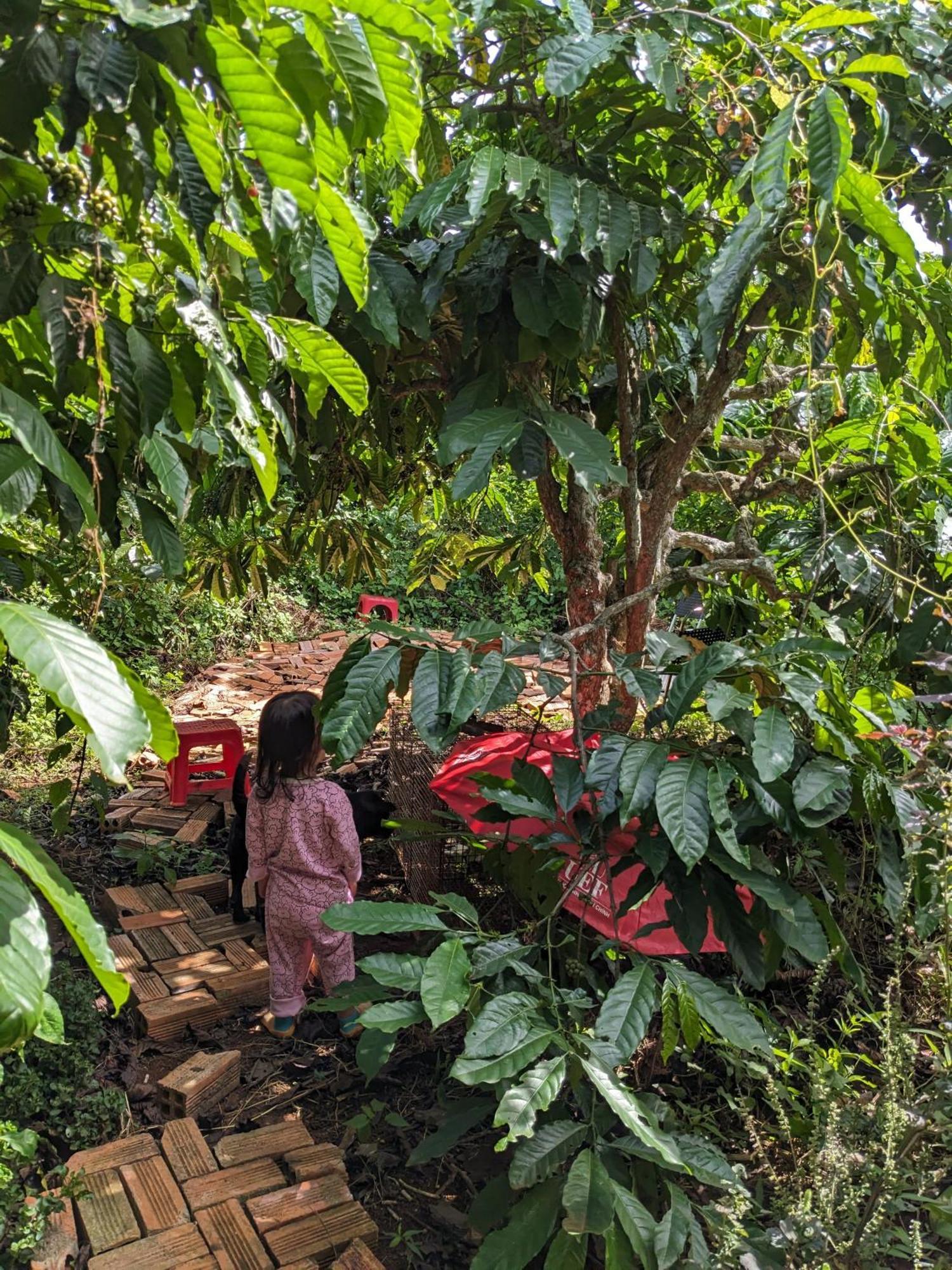 Apartamento Ivy Coffee Farm - Garden House Duc Trong Exterior foto