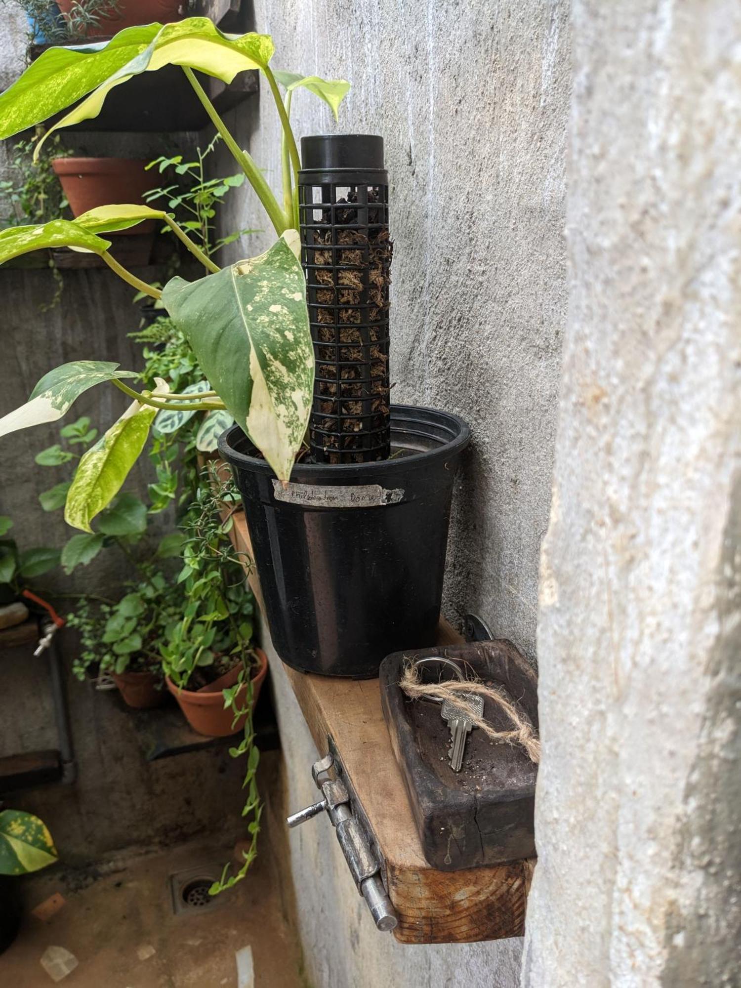 Apartamento Ivy Coffee Farm - Garden House Duc Trong Exterior foto