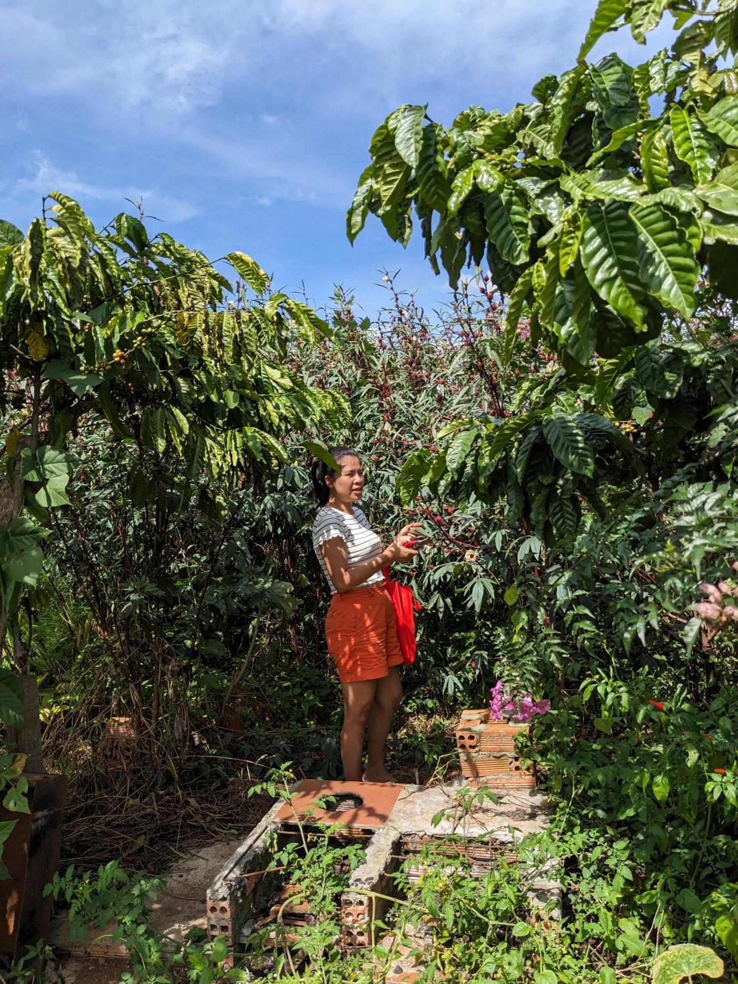 Apartamento Ivy Coffee Farm - Garden House Duc Trong Exterior foto
