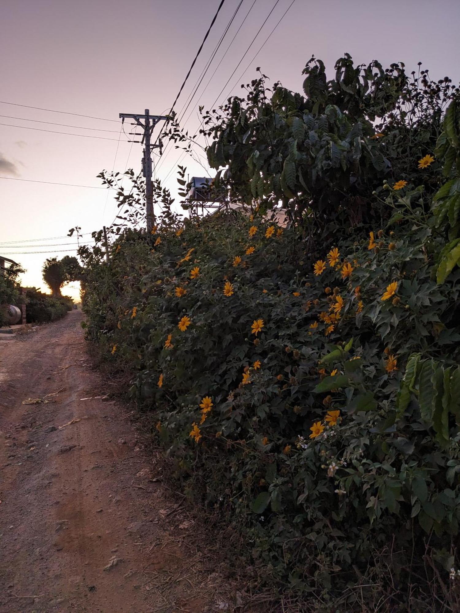 Apartamento Ivy Coffee Farm - Garden House Duc Trong Exterior foto