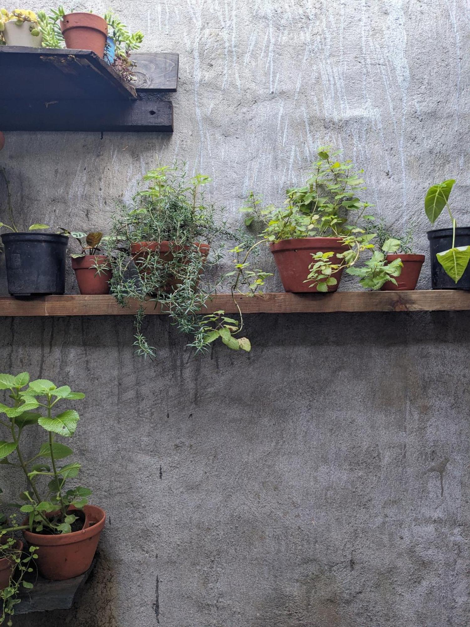 Apartamento Ivy Coffee Farm - Garden House Duc Trong Exterior foto