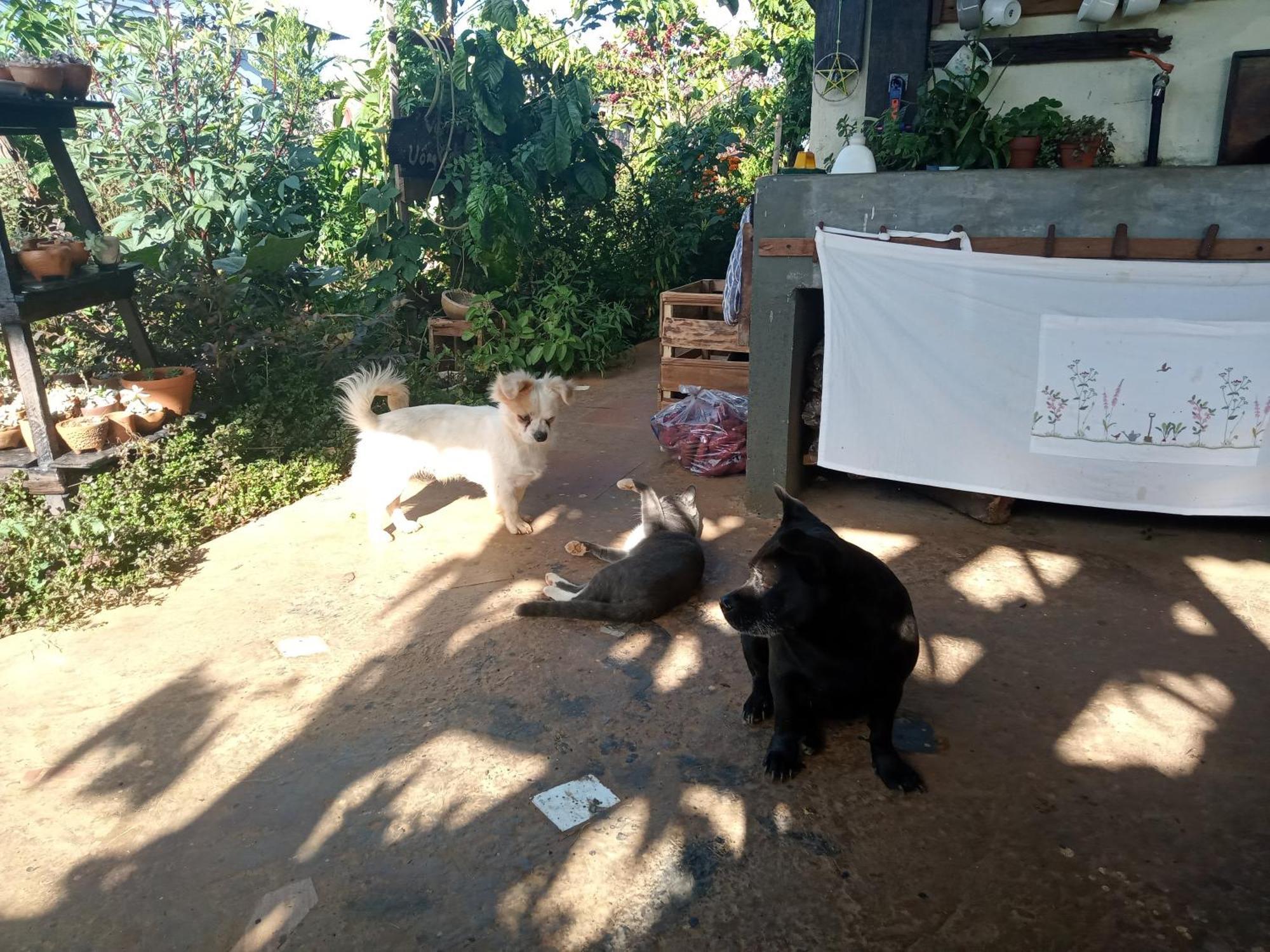 Apartamento Ivy Coffee Farm - Garden House Duc Trong Exterior foto