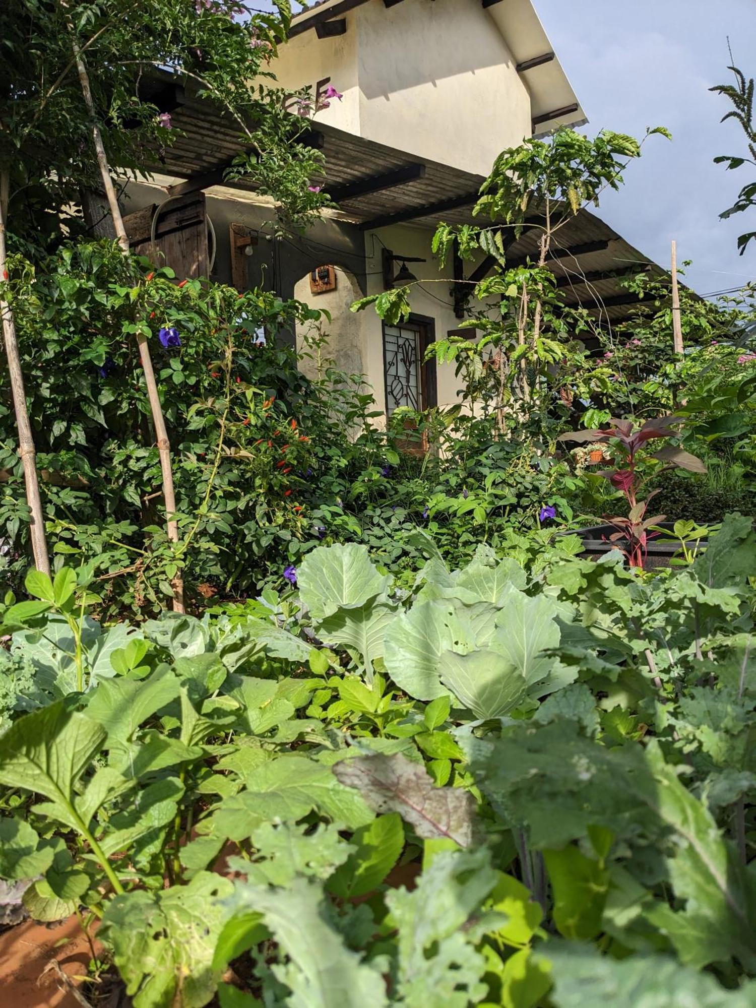 Apartamento Ivy Coffee Farm - Garden House Duc Trong Exterior foto