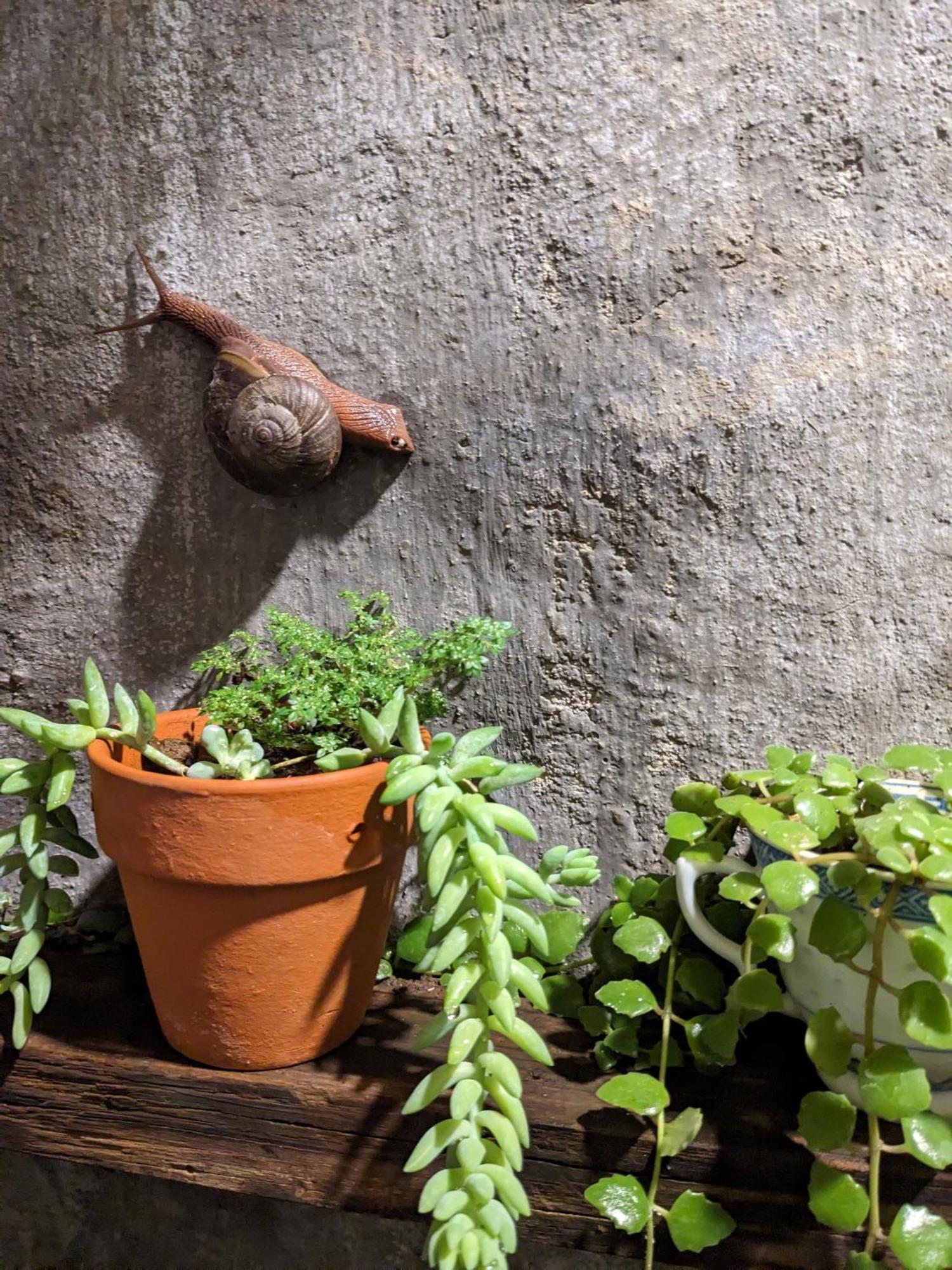 Apartamento Ivy Coffee Farm - Garden House Duc Trong Exterior foto