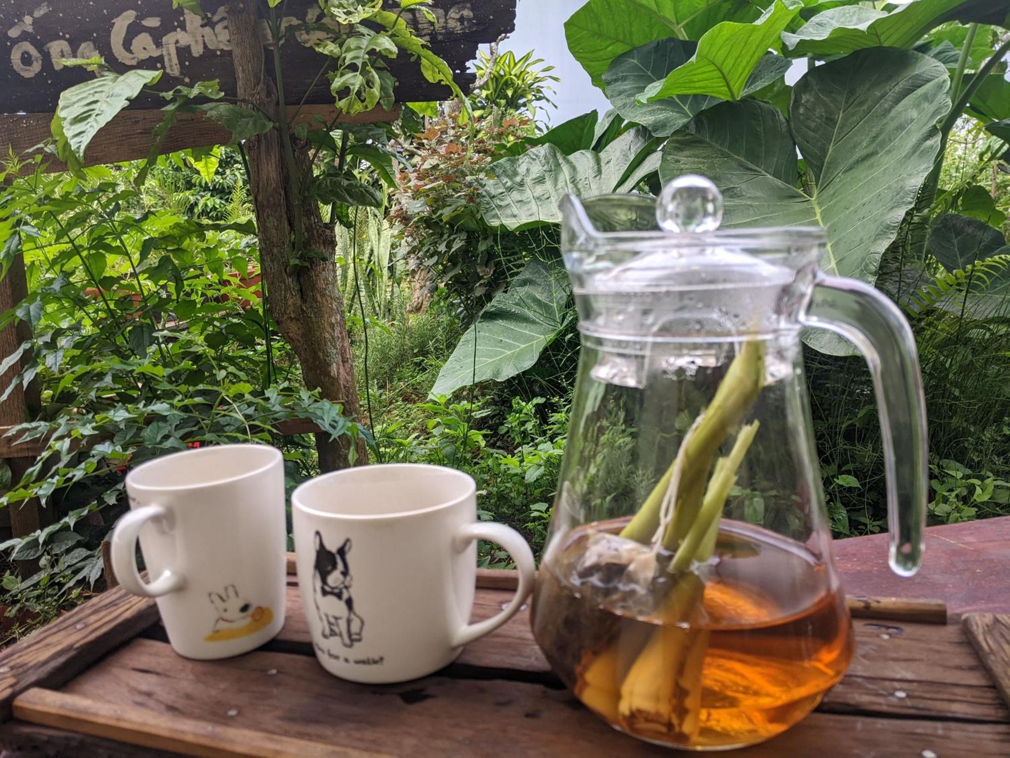 Apartamento Ivy Coffee Farm - Garden House Duc Trong Exterior foto